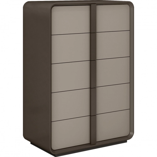 Velisse Chest in Brown Metal Lacquer & Grey Lacquer